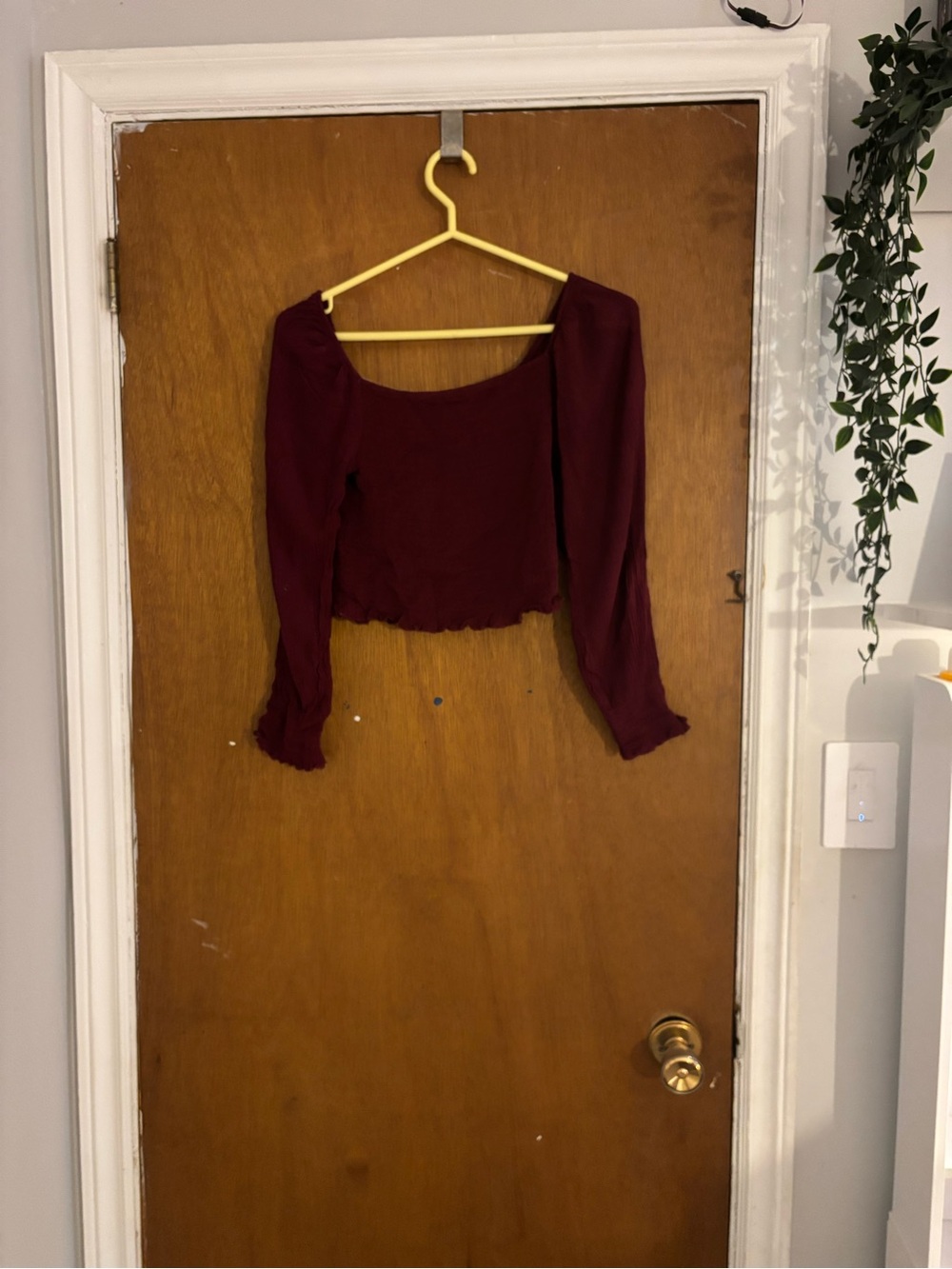 Ambiance Burgundy Long Sleeve Square Neck Crop Top